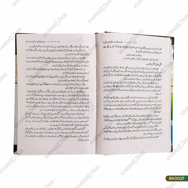 Ulamae Hind Ka Shandar Maazi	علمائے ہند کا شاندار ماضی