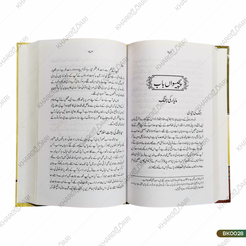 Seerate Sayyed Ahmed Shaheed |	سیرت سید احمد شہید
