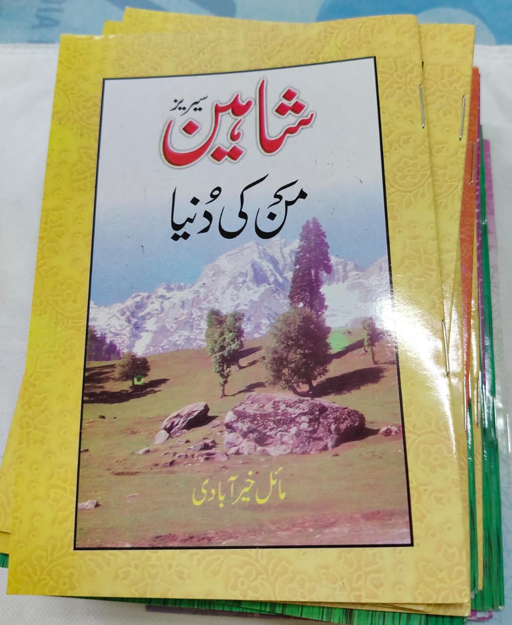 Shahin Series Complete 24 Book Set –  by Mayal Khairabadi