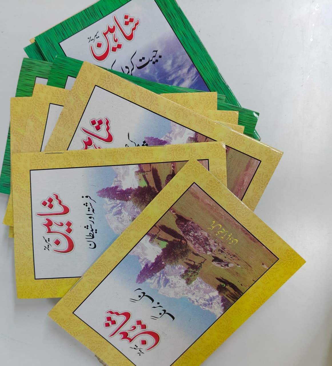 Shahin Series Complete 24 Book Set –  by Mayal Khairabadi