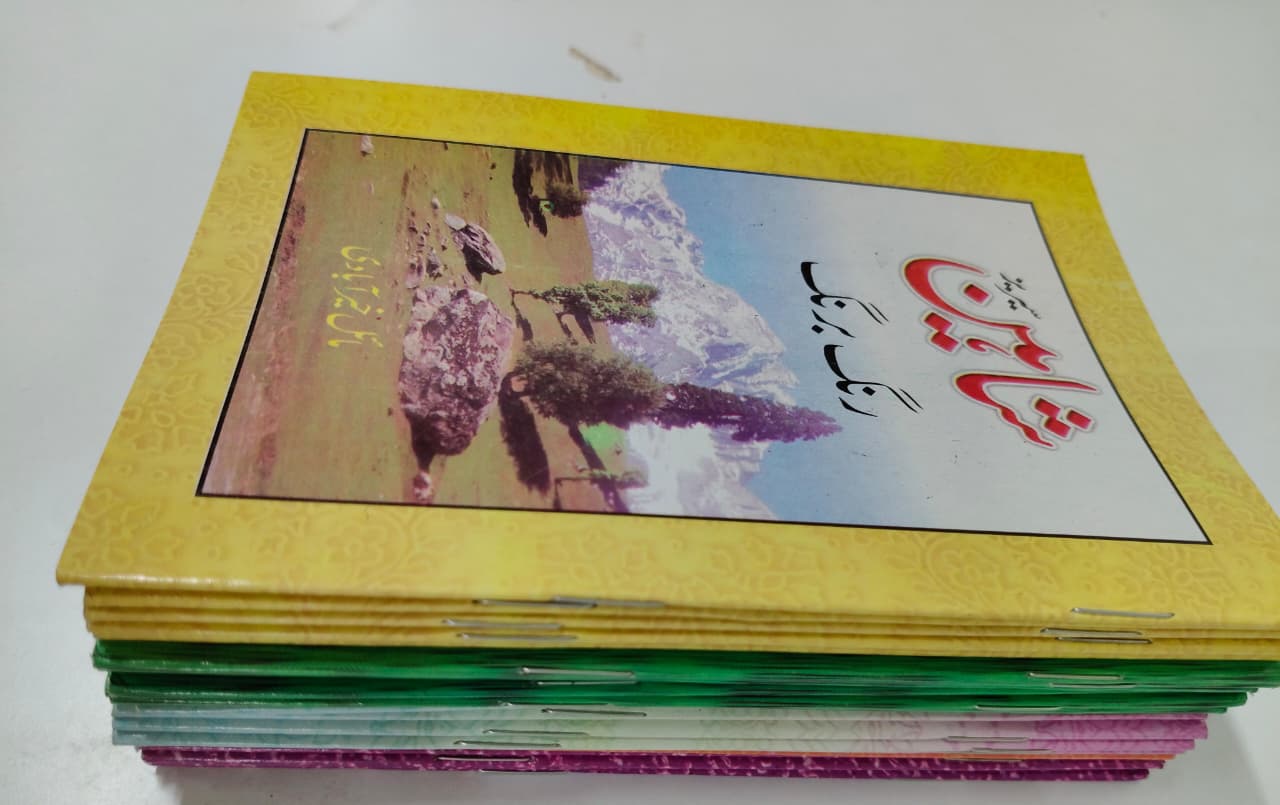 Shahin Series Complete 24 Book Set –  by Mayal Khairabadi